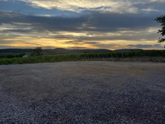 Stellplatz Weingut Mühlhäuser_2 (© Weingut Mühlhäuser)