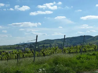 P1050068