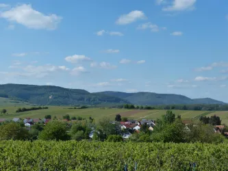 P1050076