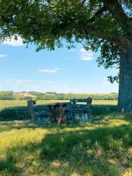 Picknickplatz "Unterm Nussbaum" (© Christoph Bauer)