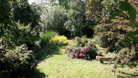 Martinshof Garten