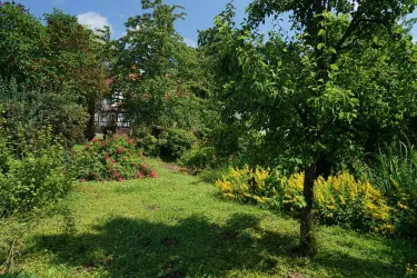 Garten 4