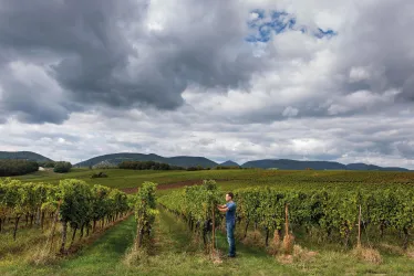 Weingut (© Weingut Mühlhäuser)