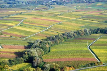 Herbst (© Walter Hoffmann)