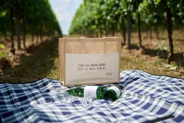 weingut_fritz_walter_weinfeld_2023 1.1