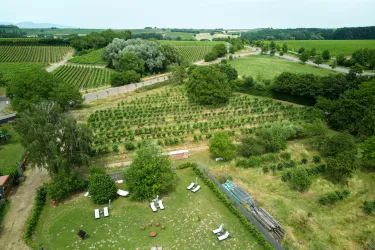 weingut_fritz_walter_drohne_2023 6