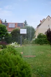 weingut_fritz_walter_garten_2023 11