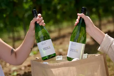 weingut_fritz_walter_weinfeld_2023 7