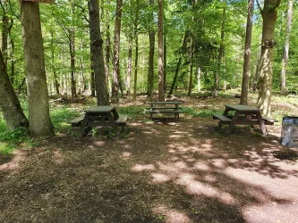 Rastplatz an der T-Kreuzung Erlenhof 1
