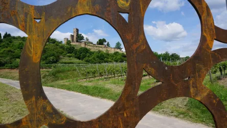 Schönste Weinsicht (© Tourist Information Wachenheim)