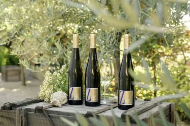 Weine (© Zimmermann)