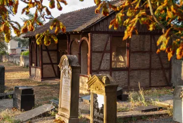Bild 1 (© Tourist Info Wachenheim)