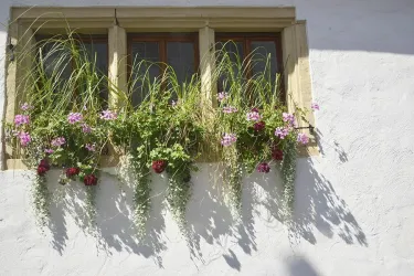 Blumenschmuck