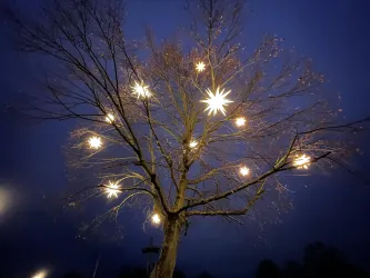 Sternenbaum (© U.Bernard)