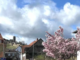Blick Wachenburg