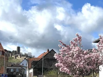 Blick_Wachenburg