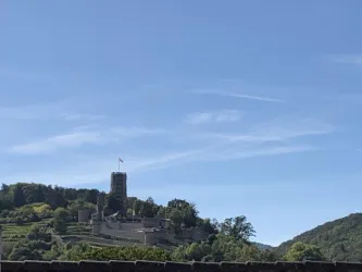 Blick auf die Wachtenburg