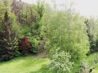 Aussicht (© Beier)