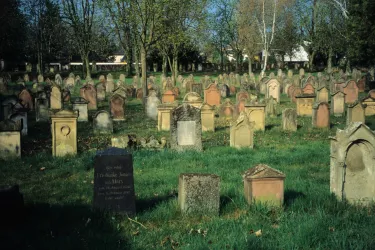 Jüdischer Friedhof Wachenheim (© Tourist Information Wachenheim)