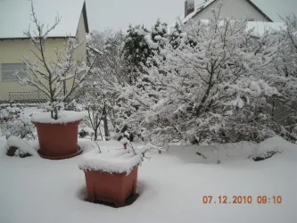 DSCN3192