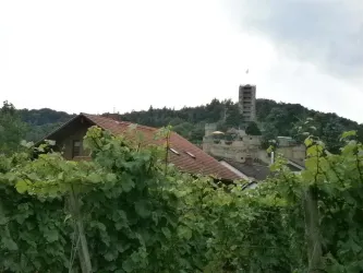 Burgblick zur Wachtenburg