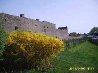 Stadtmauer Wachenheim - Rundweg