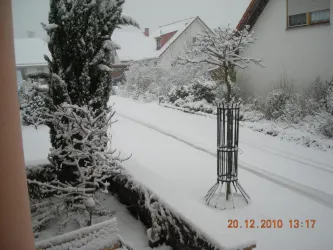 DSCN3201 - Kopie