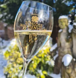 Silvester_2 (© Tourist Info Wachenheim)