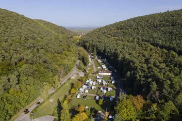 Burgtal Wachenheim (© Stobbe)