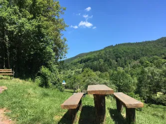 Picknickplatz (© Verein SÜW Annweiler e.V.)