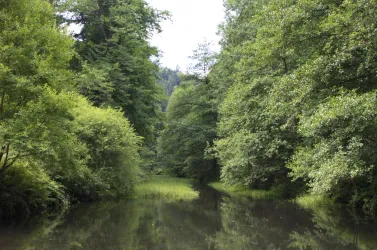 Leinbachtal_0008