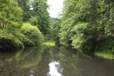 Leinbachtal_0013