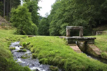 Leinbachtal_0004