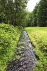 Leinbachtal_0003