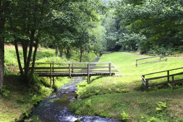 Leinbachtal_0006