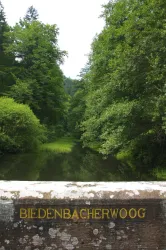 Leinbachtal_0012