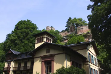 Diemerstein2