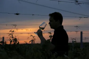Winzer Thorsten Langenwalter (© Weingut Langenwalter)