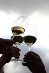 Weingläser (© Weingut Langenwalter)