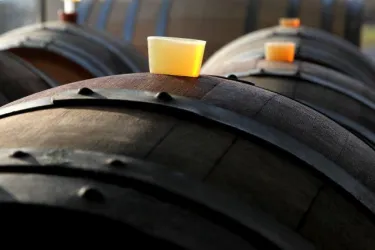 Holzfässer (© Weingut Langenwalter)