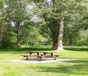 Naherholungsgebiet, Bank mit Tisch (© Birgit Groh)