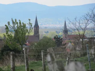 Blick auf Weisenheim am Sand (© Birgit Groh)
