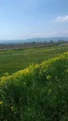 Aussichtspunkt Sandhasenweg 1 (© Urlaubsregion Freinsheim)