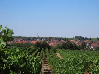 Ortsansicht Weisenheim am Sand (© Urlaubsregion Freinsheim, Fr. Metzger)