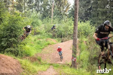 Bikepark Trippstadt 3 (© MTB-Park Pfälzerwald)