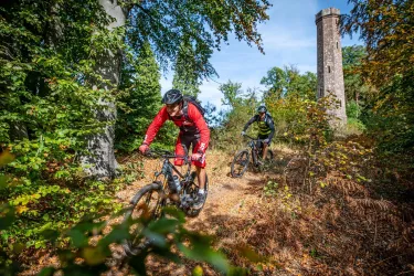 Eschkopfturm (© Mountainbikepark Pfälzerwald e.V.)
