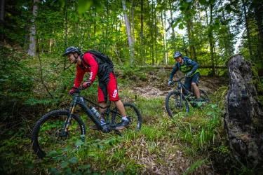 MTB-Tour 5 (© Mountainbikepark Pfälzerwald e.V.)