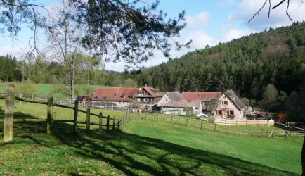 Meiserhof (© Stephan Marx)