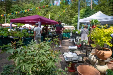 Stände Kräuermarkt Hauenstein