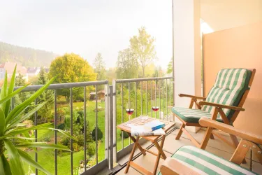 Aussicht vom Balkon (© Floran Busch)